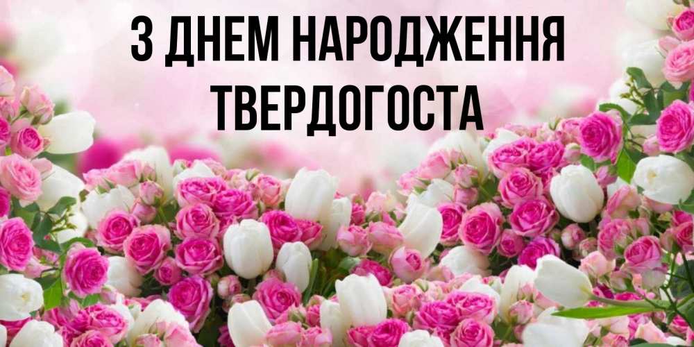 Открытка на каждый день з підписом, Твердогоста З Днем народження открытка с разными розами Прикольна листівка з побажанням онлайн скачати безкоштовно 