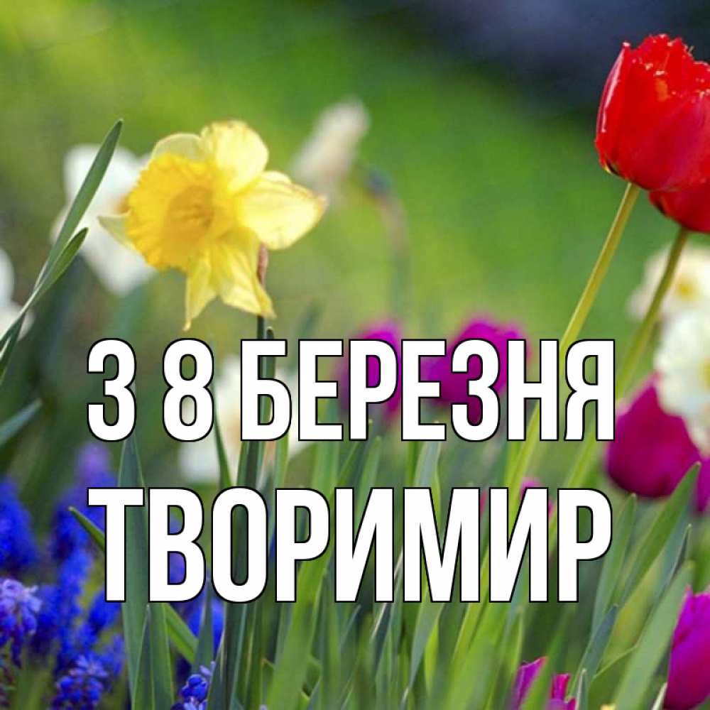 Открытка на каждый день з підписом, Творимир З 8 БЕРЕЗНЯ международный женский день 3 Прикольна листівка з побажанням онлайн скачати безкоштовно 