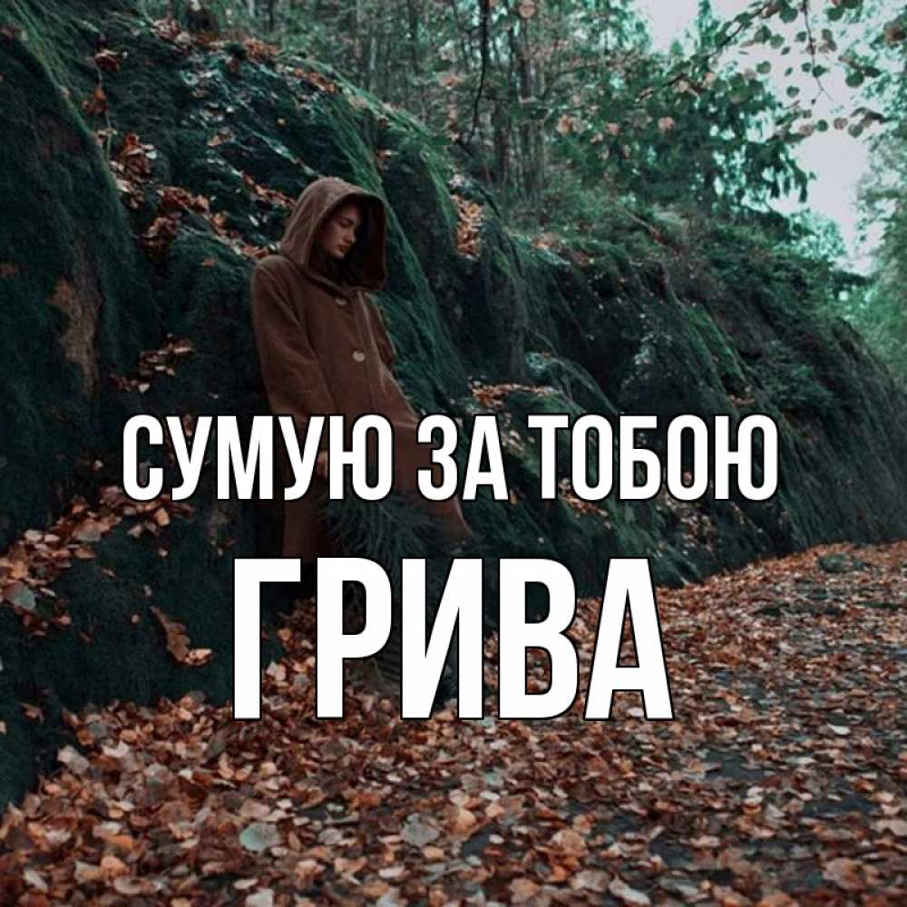 Открытка на каждый день з підписом, Грива Сумую за тобою скука 1 Прикольна листівка з побажанням онлайн скачати безкоштовно 