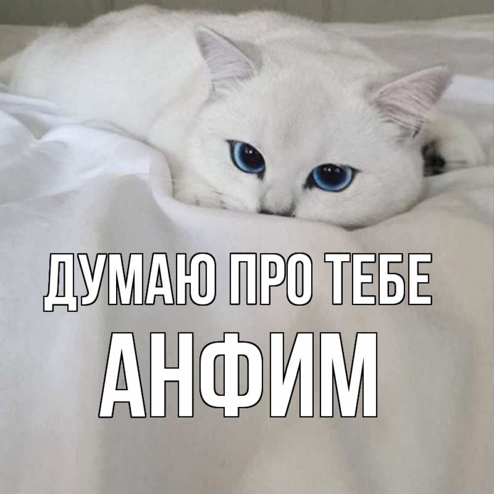 Открытка на каждый день з підписом, Анфим Думаю про тебе я очень по тебе скучаю и тоскую Прикольна листівка з побажанням онлайн скачати безкоштовно 