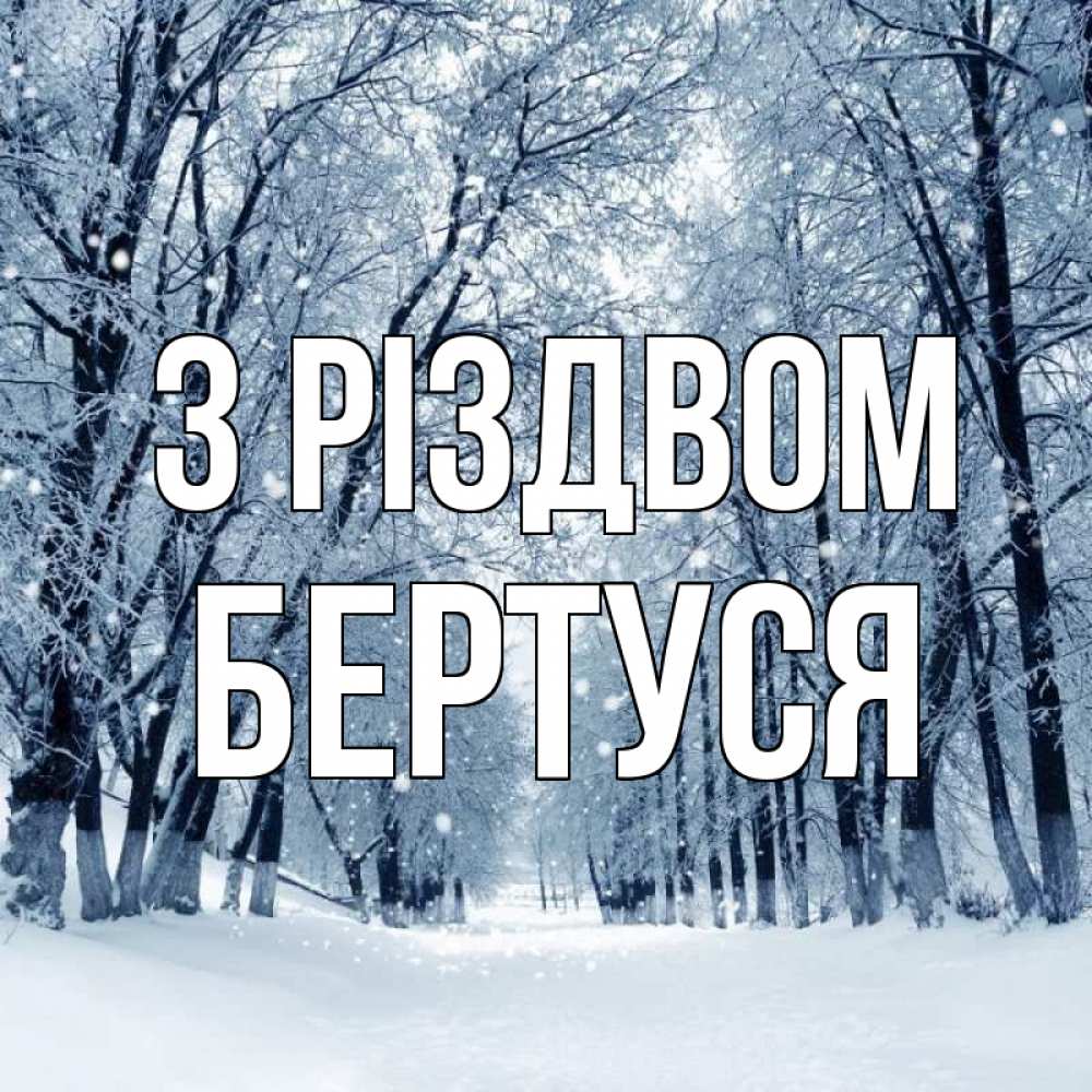 Открытка на каждый день з підписом, Бертуся З Різдвом снег, лес, парк Прикольна листівка з побажанням онлайн скачати безкоштовно 