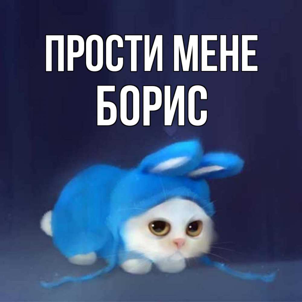 Открытка на каждый день з підписом, Борис Прости мене невинный котозай просит прощения Прикольна листівка з побажанням онлайн скачати безкоштовно 