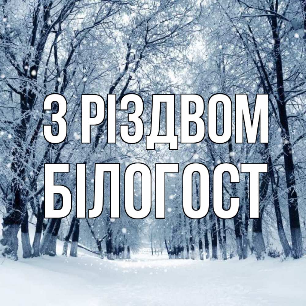 Открытка на каждый день з підписом, Білогост З Різдвом снег, лес, парк Прикольна листівка з побажанням онлайн скачати безкоштовно 