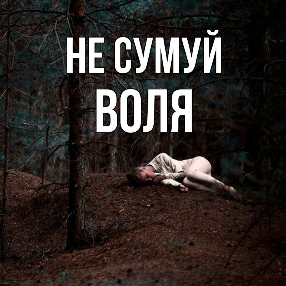 Открытка на каждый день з підписом, Воля Не сумуй лес Прикольна листівка з побажанням онлайн скачати безкоштовно 