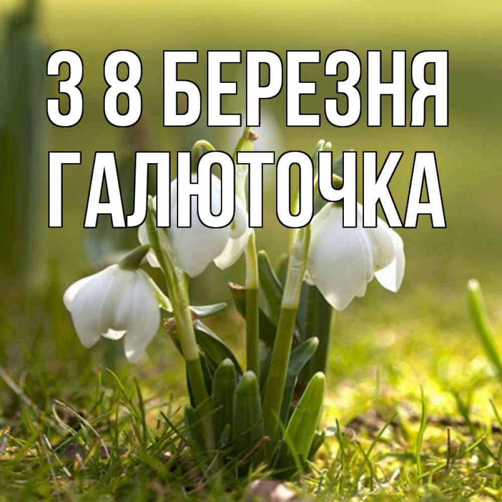 Открытка на каждый день з підписом, Галюточка З 8 БЕРЕЗНЯ ранние цветы 2 Прикольна листівка з побажанням онлайн скачати безкоштовно 