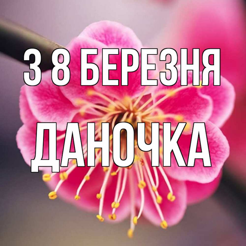 Открытка на каждый день з підписом, Даночка З 8 БЕРЕЗНЯ цветы Прикольна листівка з побажанням онлайн скачати безкоштовно 