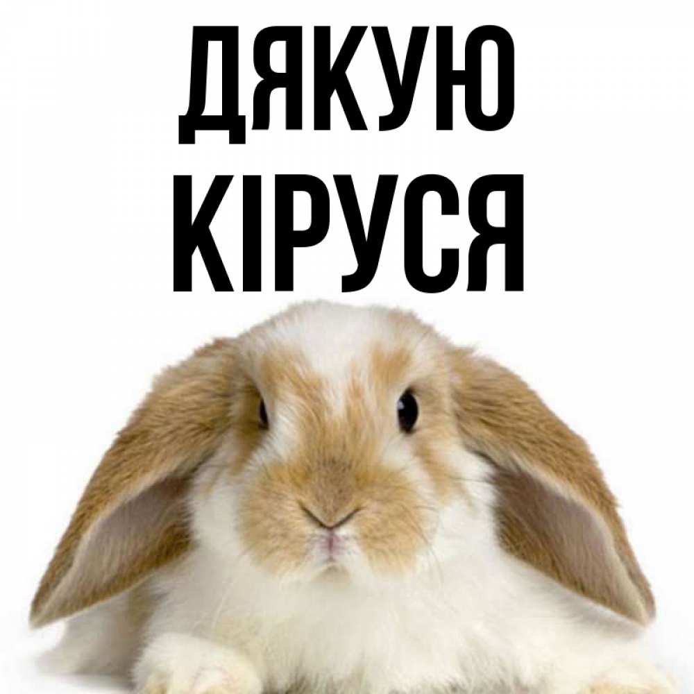 Открытка на каждый день з підписом, Кіруся Дякую коричнево белый заяц Прикольна листівка з побажанням онлайн скачати безкоштовно 