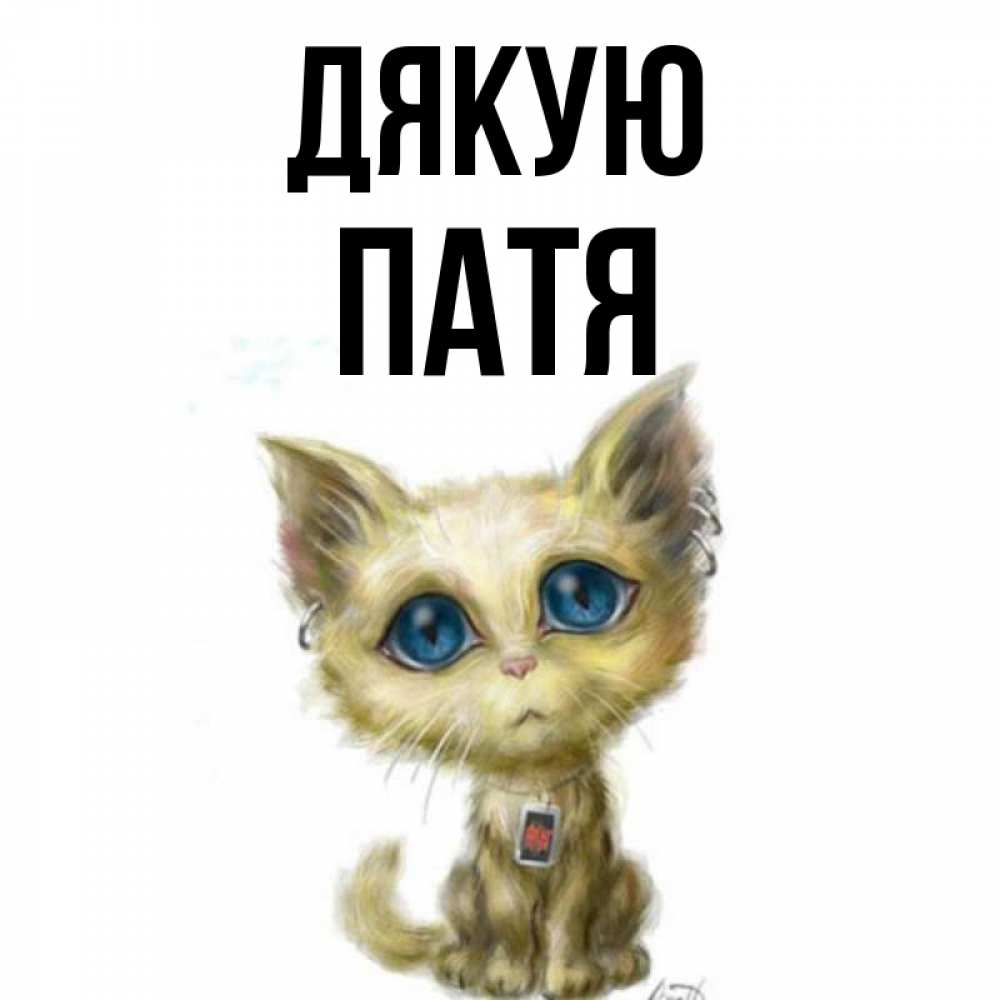 Открытка на каждый день з підписом, Патя Дякую рисованный кот благодарит вас Прикольна листівка з побажанням онлайн скачати безкоштовно 