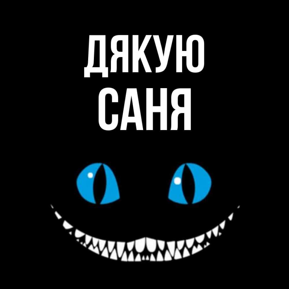 Открытка на каждый день з підписом, Саня Дякую благодарю от чеширика Прикольна листівка з побажанням онлайн скачати безкоштовно 