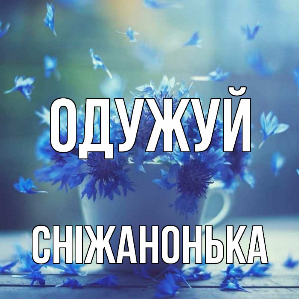 Открытка на каждый день з підписом, Сніжанонька Одужуй кружка с зельем и цветами Прикольна листівка з побажанням онлайн скачати безкоштовно 