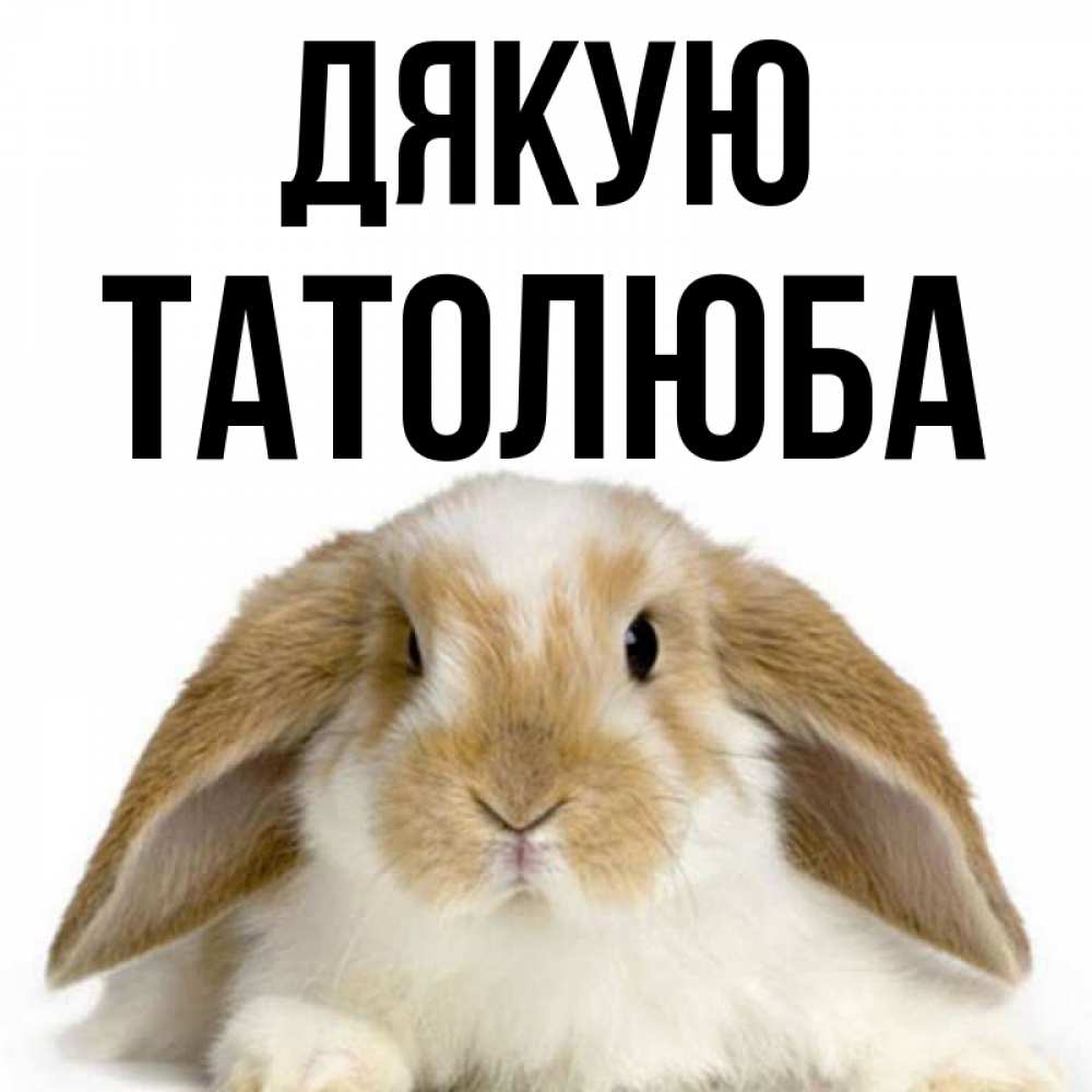 Открытка на каждый день з підписом, Татолюба Дякую коричнево белый заяц Прикольна листівка з побажанням онлайн скачати безкоштовно 