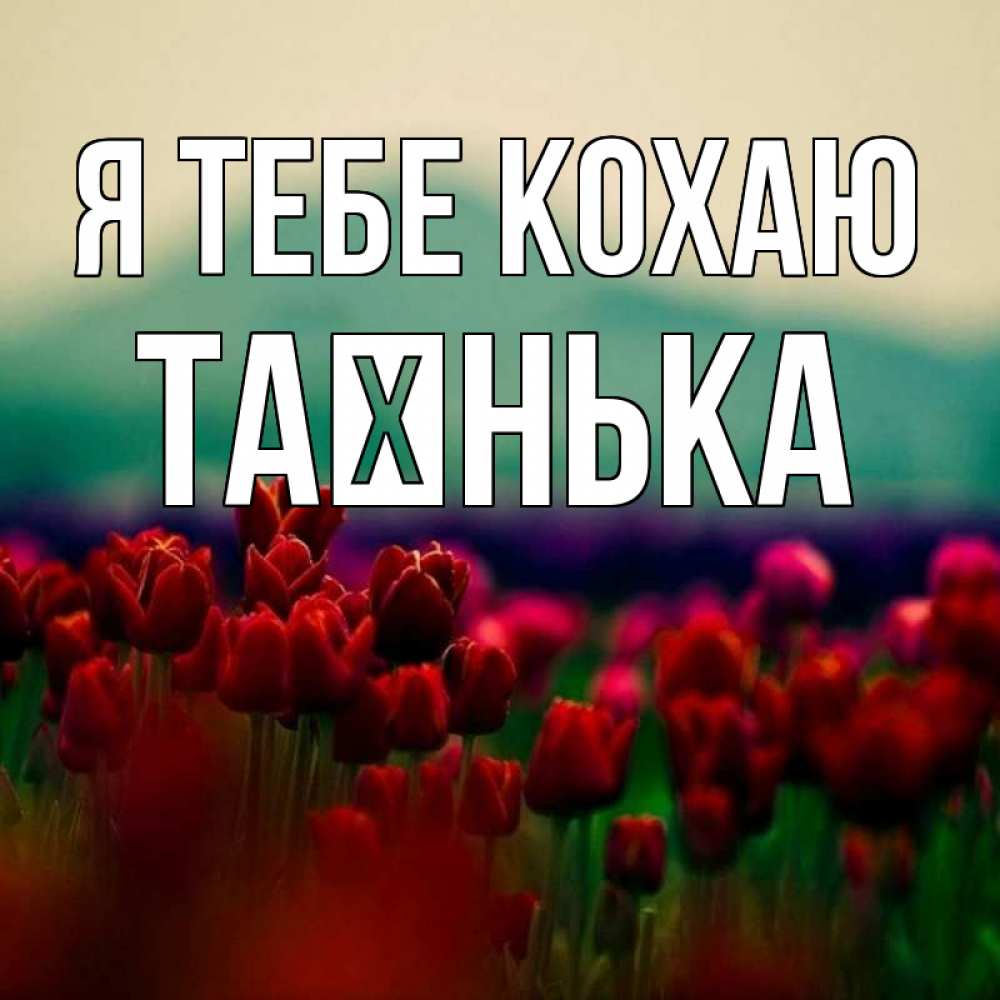 Открытка на каждый день з підписом, Таєнька Я тебе кохаю тюльпаны 4 Прикольна листівка з побажанням онлайн скачати безкоштовно 