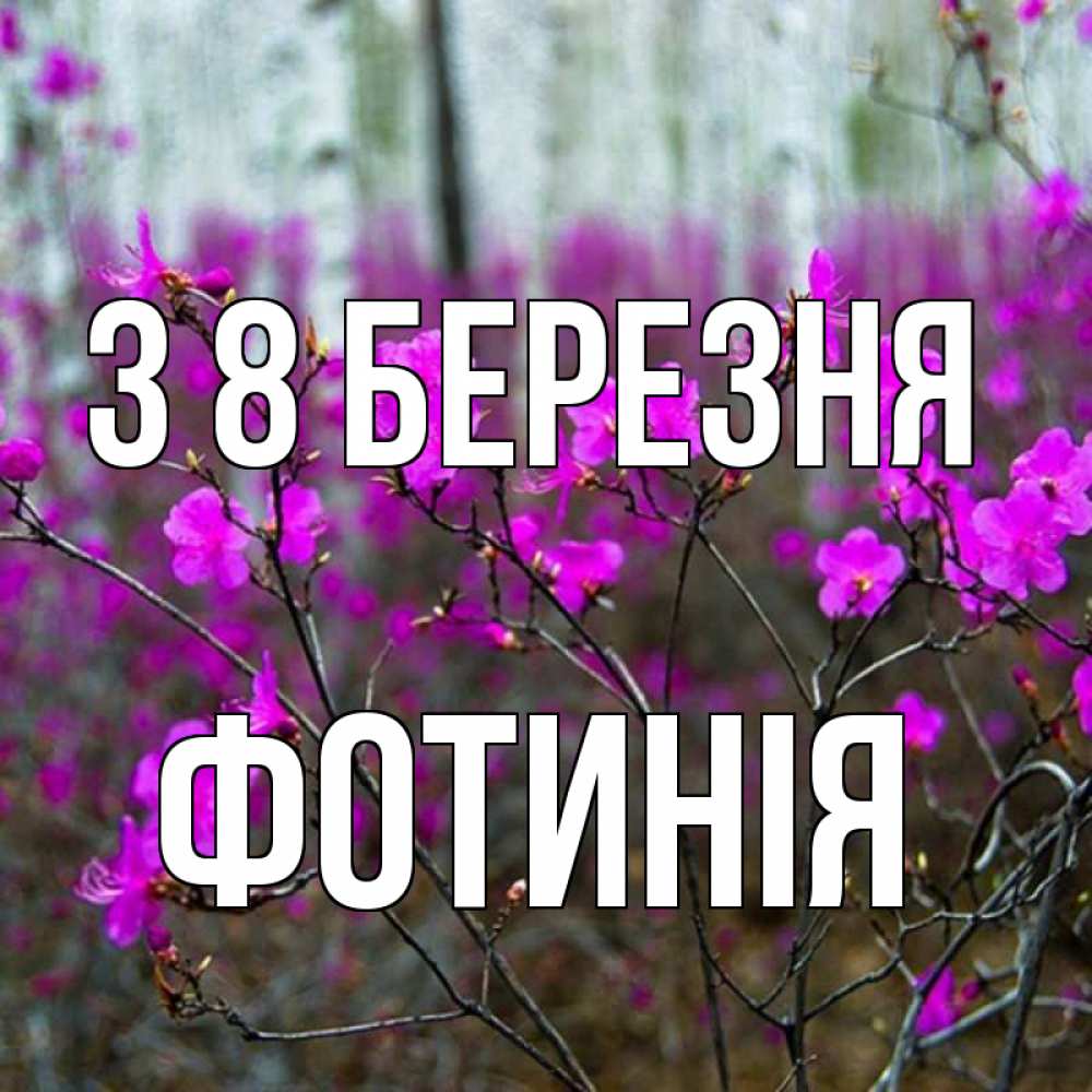 Открытка на каждый день з підписом, Фотинія З 8 БЕРЕЗНЯ дикие цветы Прикольна листівка з побажанням онлайн скачати безкоштовно 