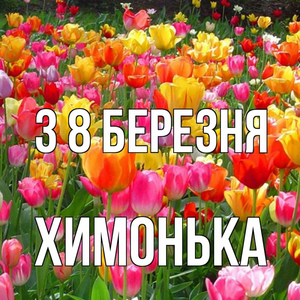 Открытка на каждый день з підписом, Химонька З 8 БЕРЕЗНЯ на международный женский день Прикольна листівка з побажанням онлайн скачати безкоштовно 