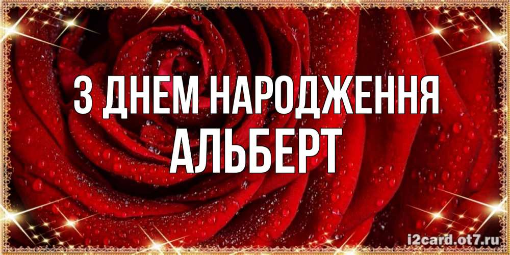 Открытка на каждый день з підписом, Альберт З Днем народження роса на розе блестящая в лучах солнца Прикольна листівка з побажанням онлайн скачати безкоштовно 
