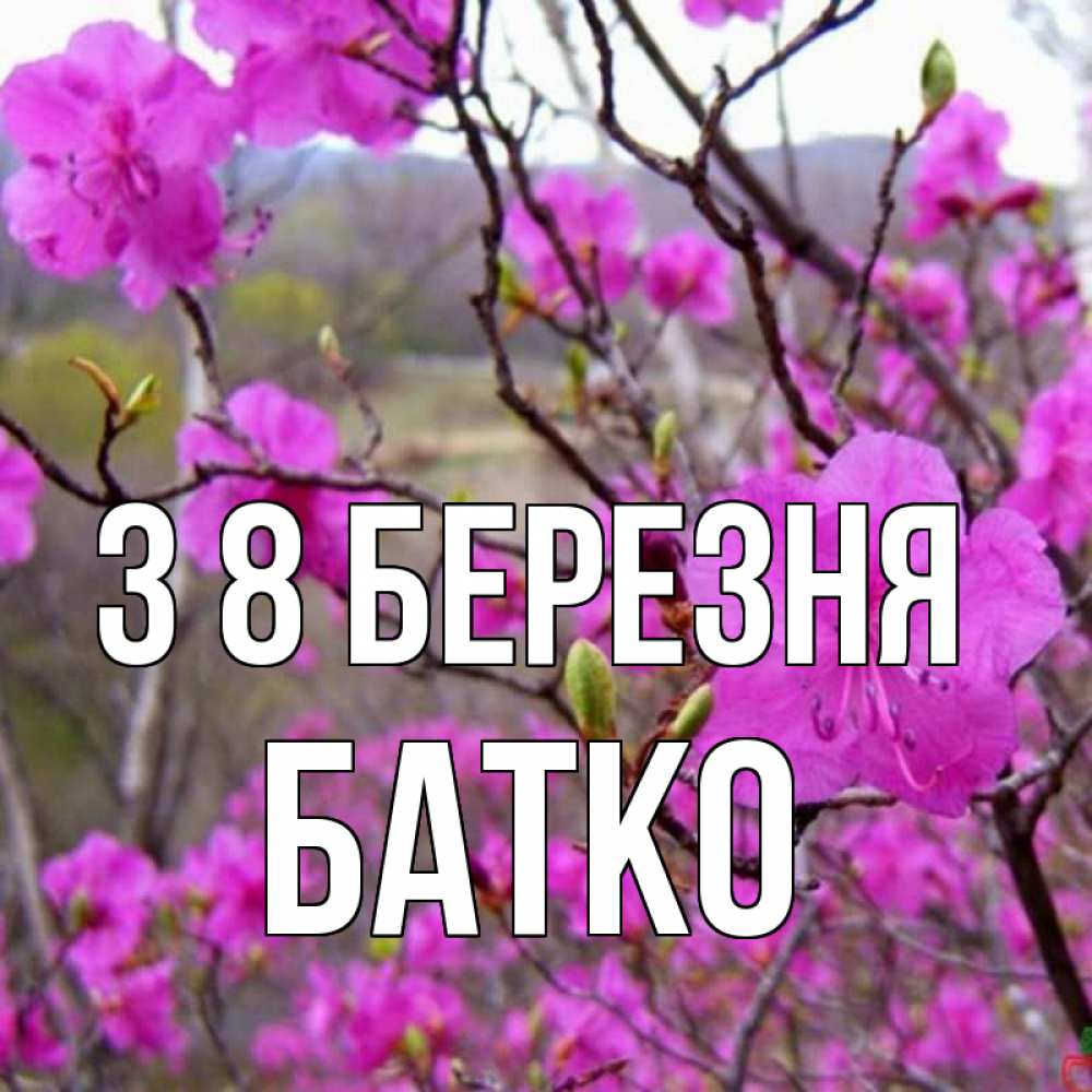 Открытка на каждый день з підписом, Батко З 8 БЕРЕЗНЯ международный женский день Прикольна листівка з побажанням онлайн скачати безкоштовно 