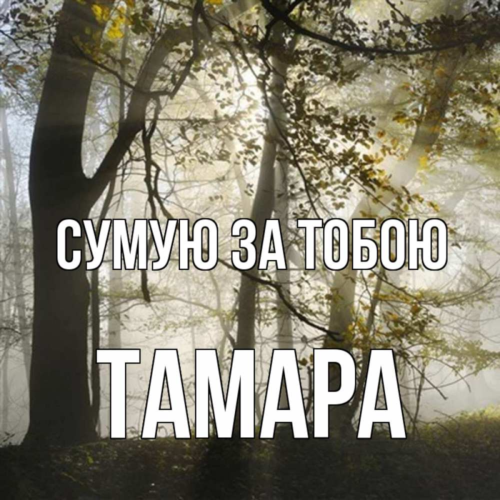 Открытка на каждый день з підписом, Тамара Сумую за тобою грустно Прикольна листівка з побажанням онлайн скачати безкоштовно 