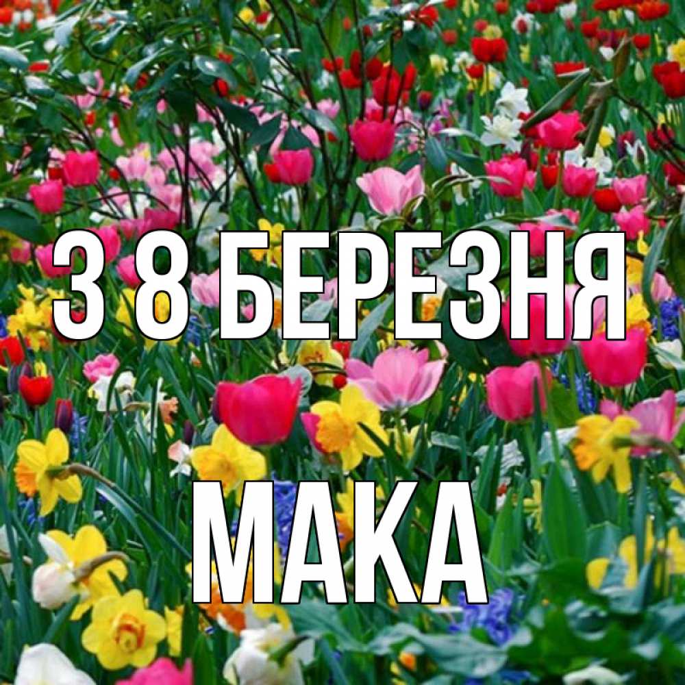 Открытка на каждый день з підписом, Мака З 8 БЕРЕЗНЯ с международным женским днем поздравления для женщины Прикольна листівка з побажанням онлайн скачати безкоштовно 