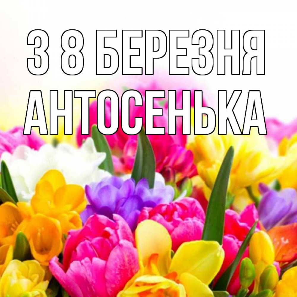 Открытка на каждый день з підписом, Антосенька З 8 БЕРЕЗНЯ тюльпаны Прикольна листівка з побажанням онлайн скачати безкоштовно 