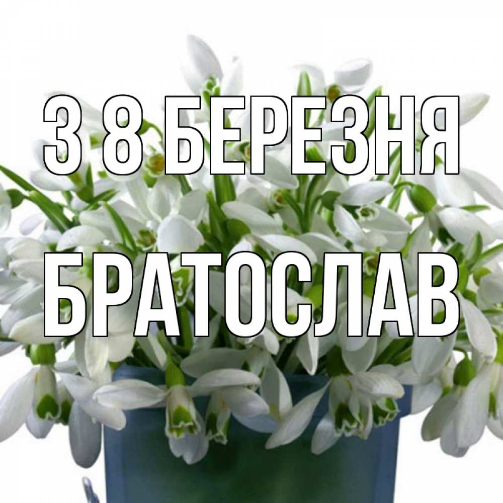 Открытка на каждый день з підписом, Братослав З 8 БЕРЕЗНЯ цветы к международному женскому дню Прикольна листівка з побажанням онлайн скачати безкоштовно 