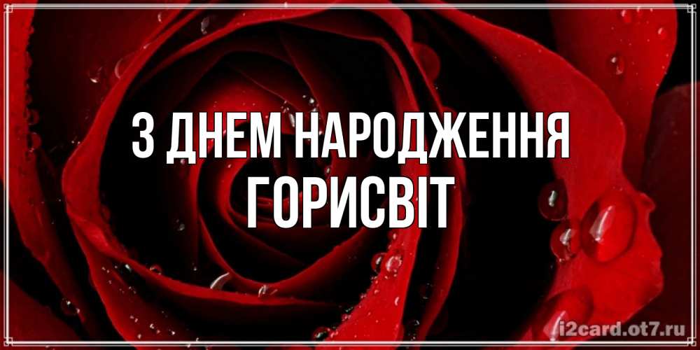 Открытка на каждый день з підписом, Горисвіт З Днем народження крупная бордовая роза Прикольна листівка з побажанням онлайн скачати безкоштовно 