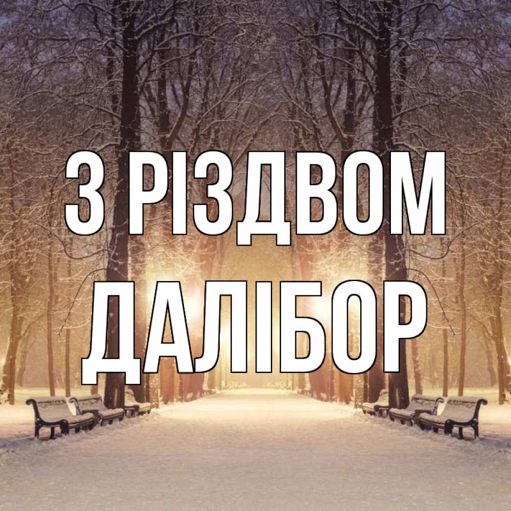 Открытка на каждый день з підписом, Далібор З Різдвом зима, парк, фонарь, лес Прикольна листівка з побажанням онлайн скачати безкоштовно 