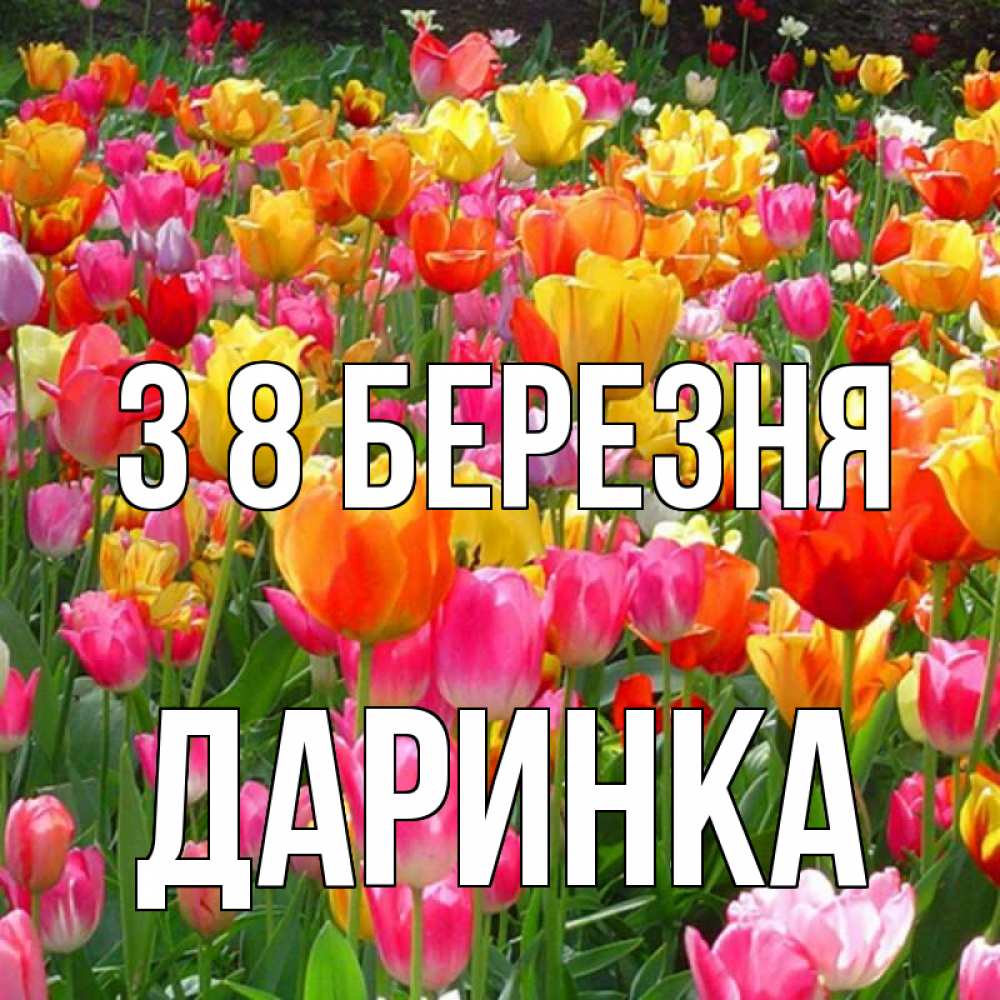 Открытка на каждый день з підписом, Даринка З 8 БЕРЕЗНЯ на международный женский день Прикольна листівка з побажанням онлайн скачати безкоштовно 