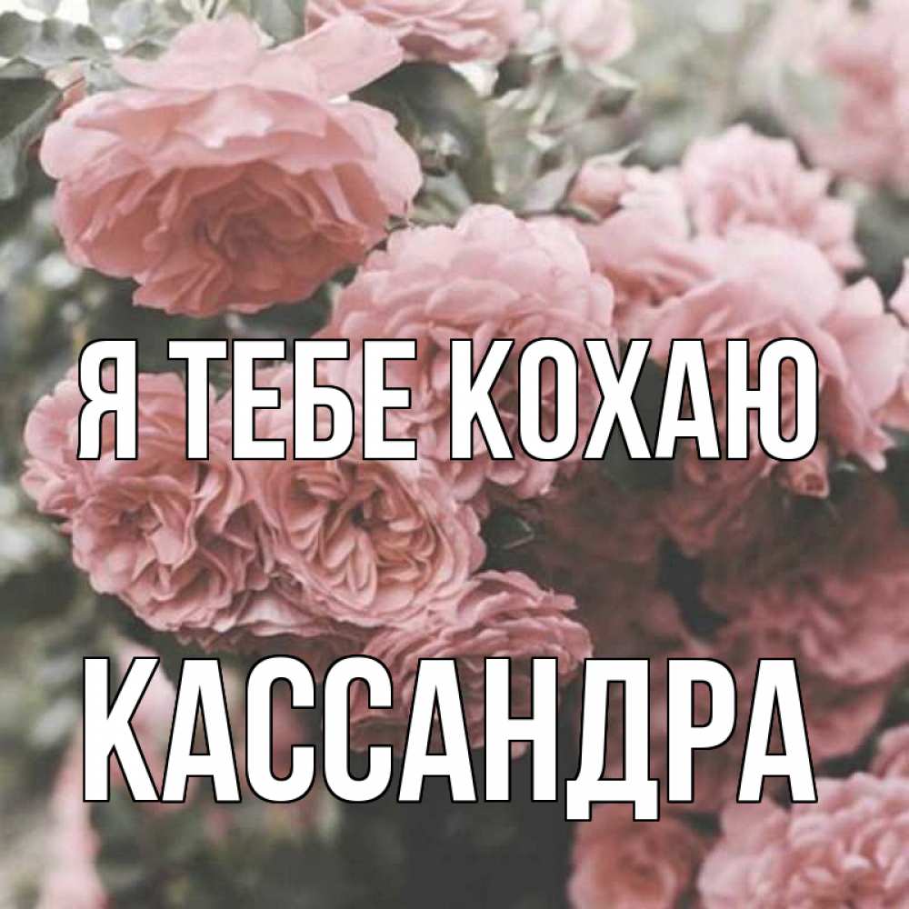Открытка на каждый день з підписом, Кассандра Я тебе кохаю розы 3 Прикольна листівка з побажанням онлайн скачати безкоштовно 