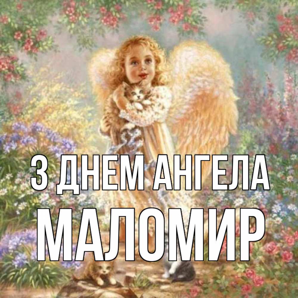 Открытка на каждый день з підписом, Маломир З Днем ангела держит котенка Прикольна листівка з побажанням онлайн скачати безкоштовно 