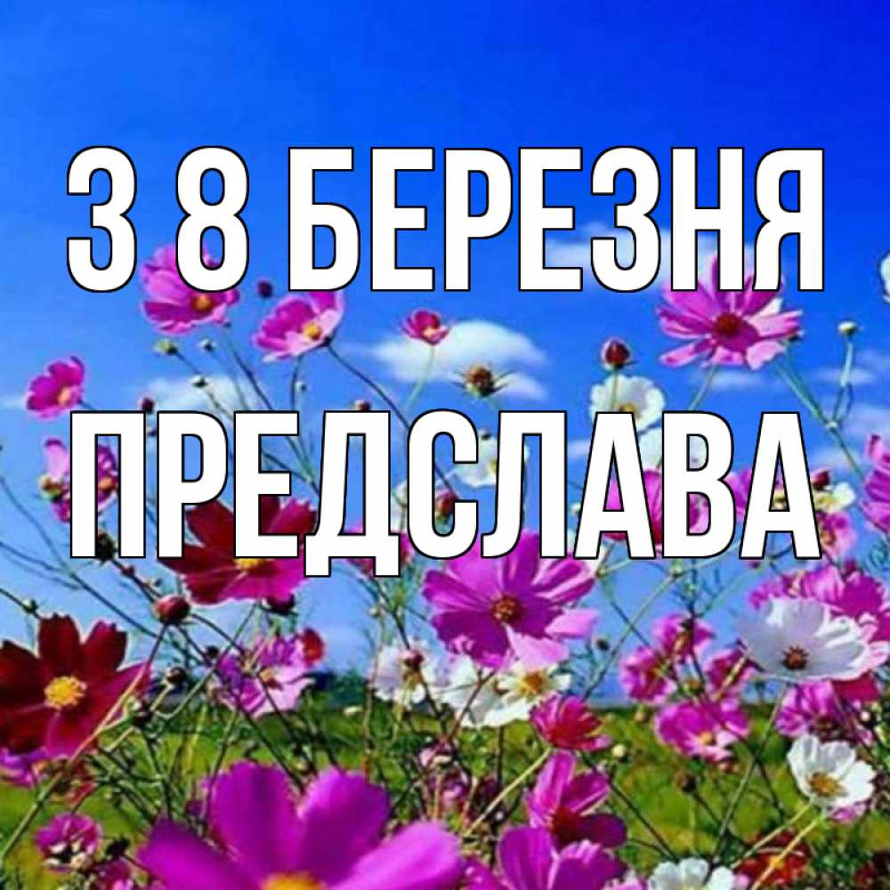 Открытка на каждый день з підписом, Предслава З 8 БЕРЕЗНЯ цветы Прикольна листівка з побажанням онлайн скачати безкоштовно 