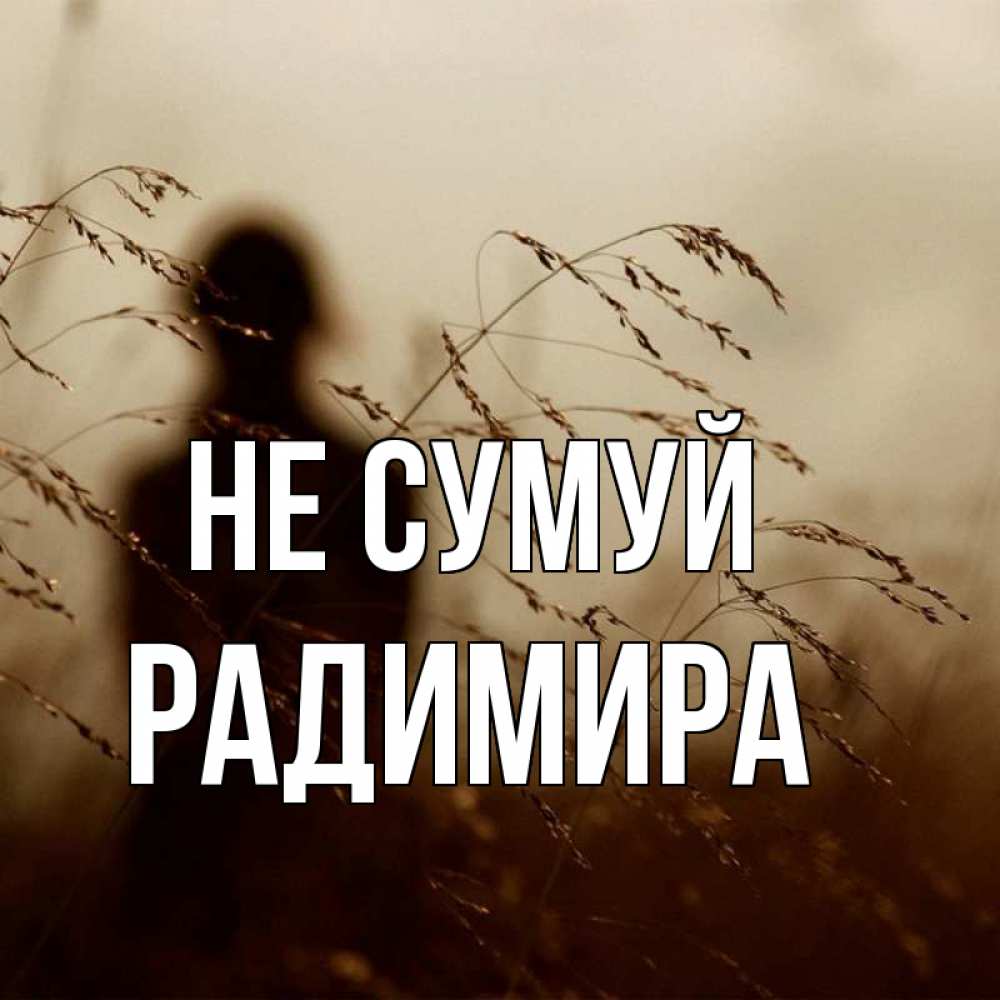 Открытка на каждый день з підписом, Радимира Не сумуй грусть Прикольна листівка з побажанням онлайн скачати безкоштовно 