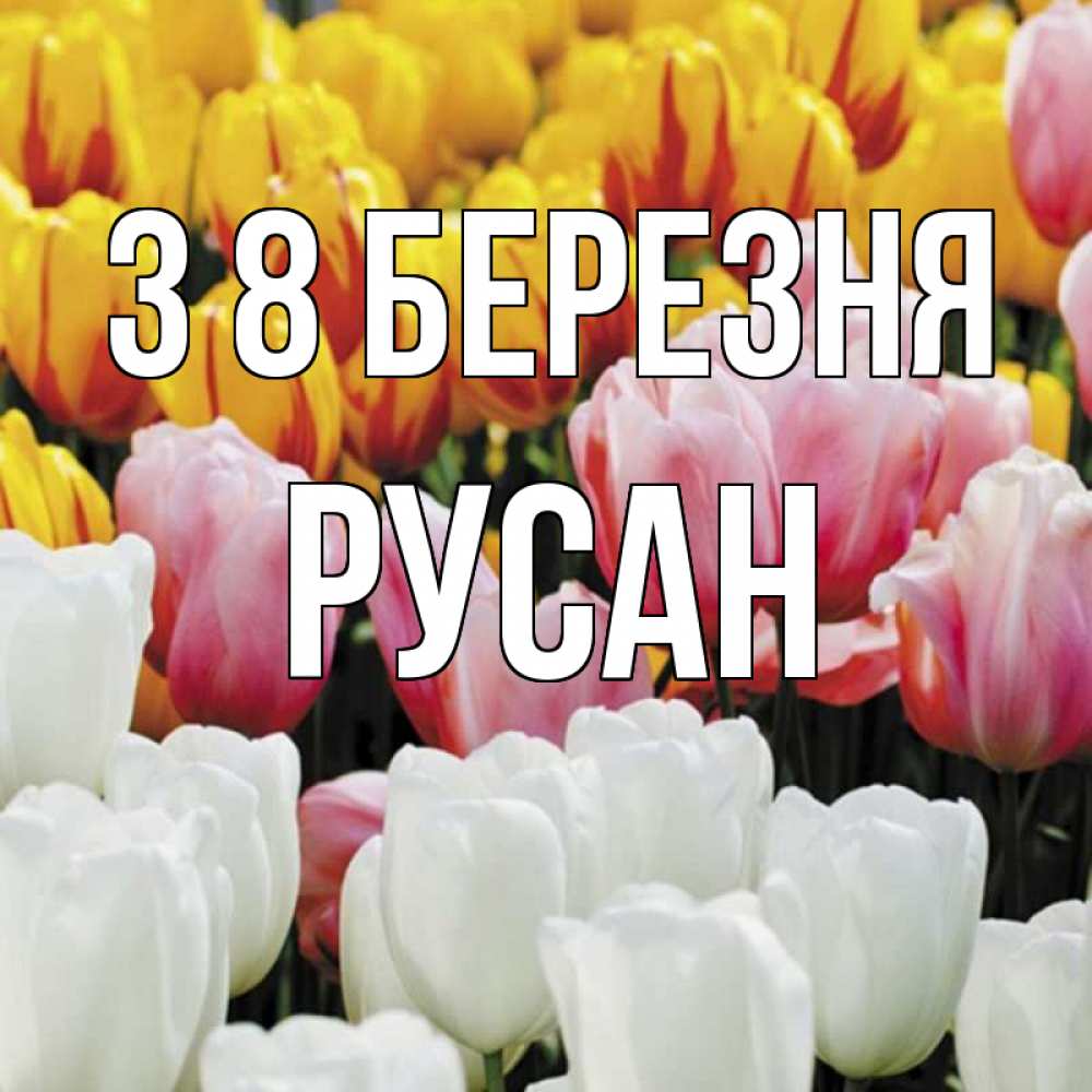 Открытка на каждый день з підписом, Русан З 8 БЕРЕЗНЯ разноцветные цветы Прикольна листівка з побажанням онлайн скачати безкоштовно 