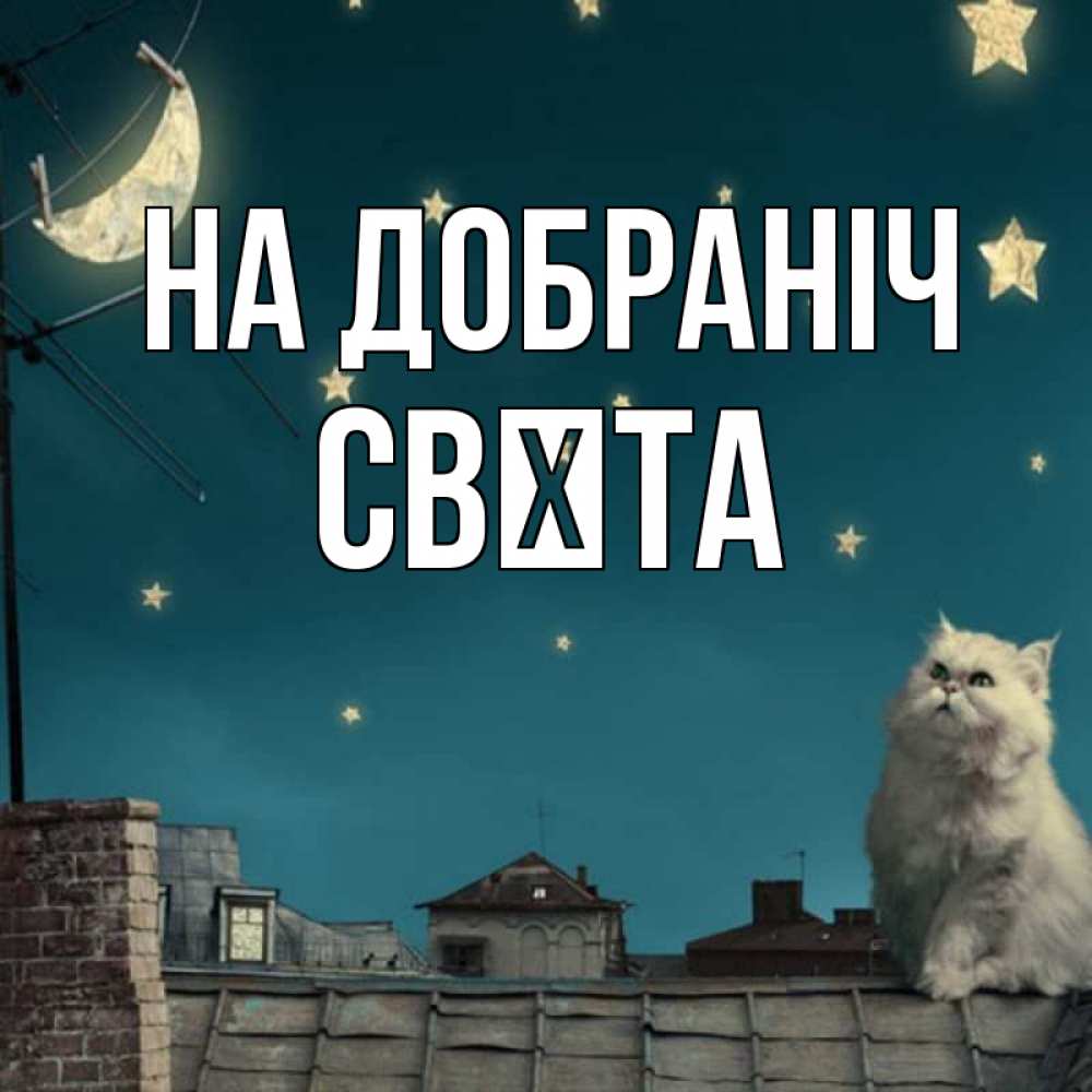 Открытка на каждый день з підписом, Свєта На добраніч белый кот сидит на крыше Прикольна листівка з побажанням онлайн скачати безкоштовно 