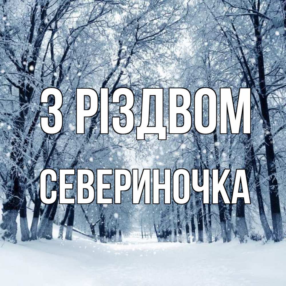 Открытка на каждый день з підписом, Севериночка З Різдвом снег, лес, парк Прикольна листівка з побажанням онлайн скачати безкоштовно 