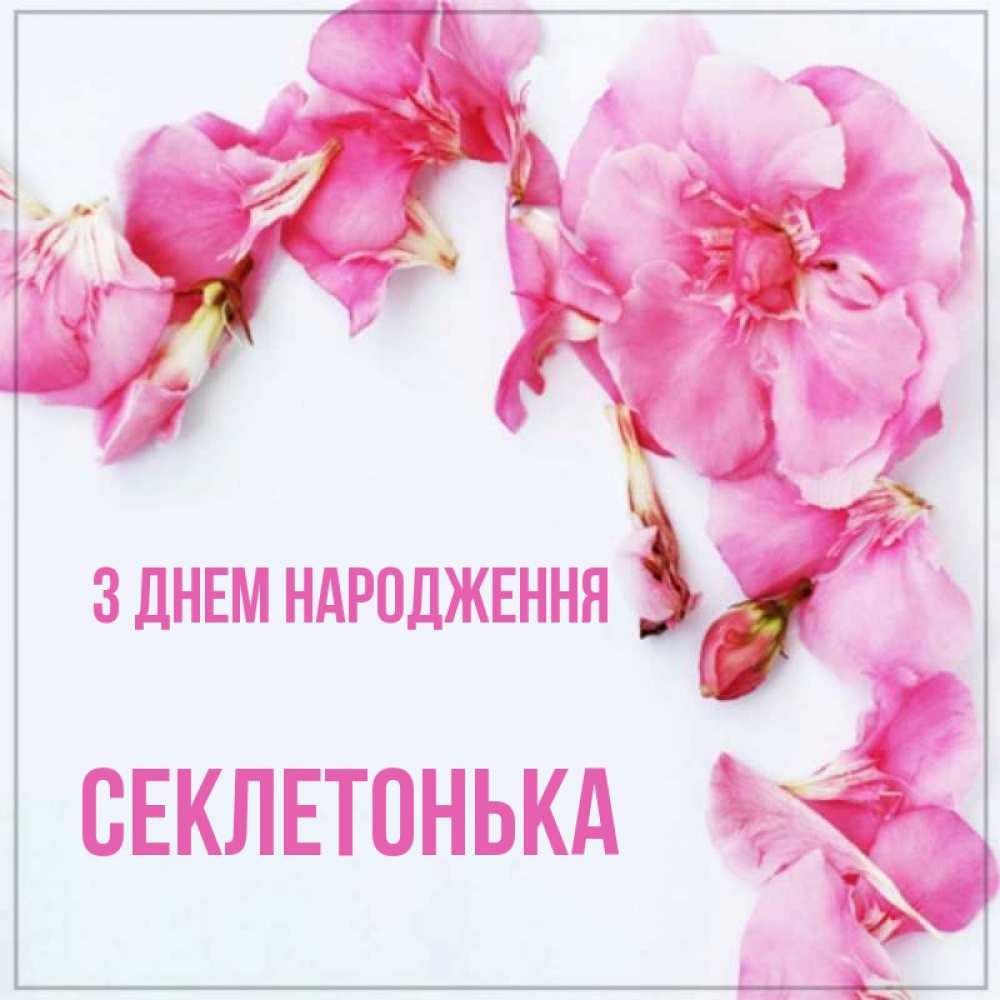 Открытка на каждый день з підписом, Секлетонька З Днем народження Красивая открытка для поздравления с днем рождения Прикольна листівка з побажанням онлайн скачати безкоштовно 