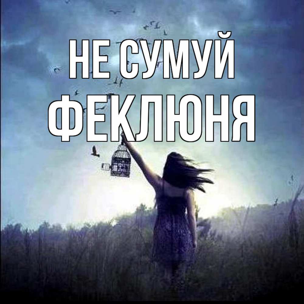 Открытка на каждый день з підписом, Феклюня Не сумуй на волю Прикольна листівка з побажанням онлайн скачати безкоштовно 