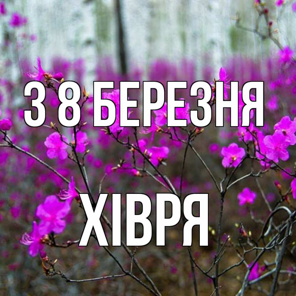Открытка на каждый день з підписом, Хівря З 8 БЕРЕЗНЯ дикие цветы Прикольна листівка з побажанням онлайн скачати безкоштовно 