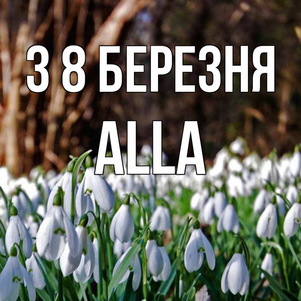 Открытка на каждый день з підписом, Alla З 8 БЕРЕЗНЯ с подснежниками 1 Прикольна листівка з побажанням онлайн скачати безкоштовно 