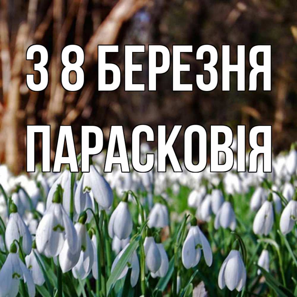 Открытка на каждый день з підписом, Парасковія З 8 БЕРЕЗНЯ с подснежниками 1 Прикольна листівка з побажанням онлайн скачати безкоштовно 