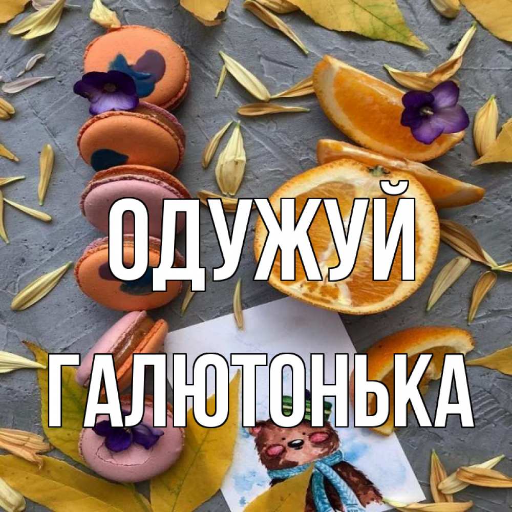 Открытка на каждый день з підписом, Галютонька Одужуй не болейте Прикольна листівка з побажанням онлайн скачати безкоштовно 