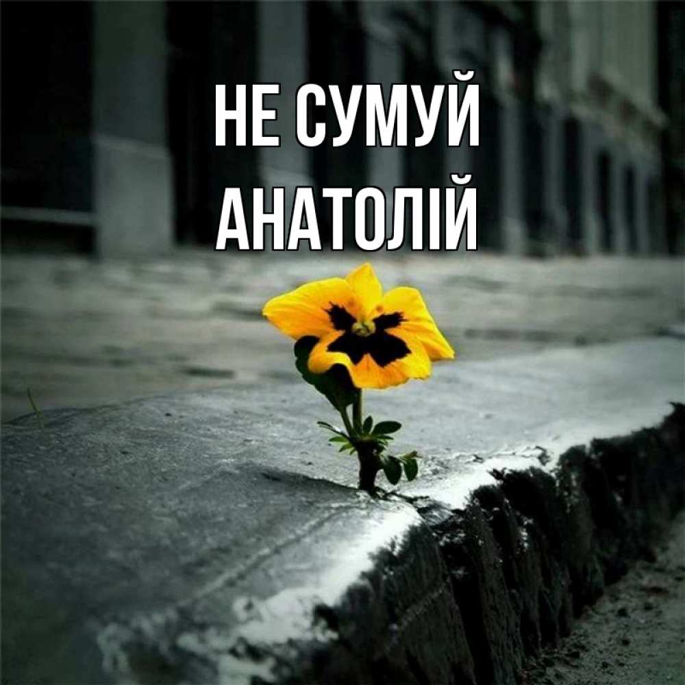 Открытка на каждый день з підписом, Анатолій Не сумуй не сдавайся Прикольна листівка з побажанням онлайн скачати безкоштовно 