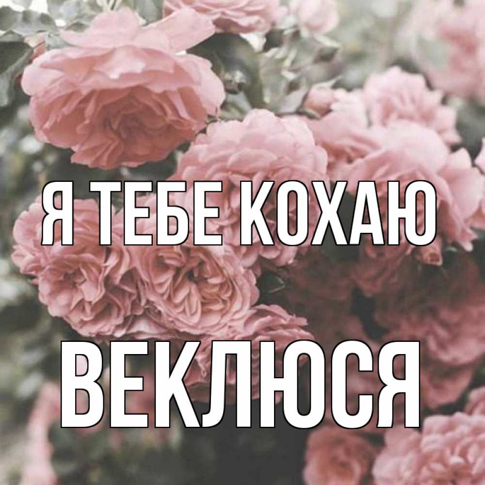 Открытка на каждый день з підписом, Веклюся Я тебе кохаю розы 3 Прикольна листівка з побажанням онлайн скачати безкоштовно 