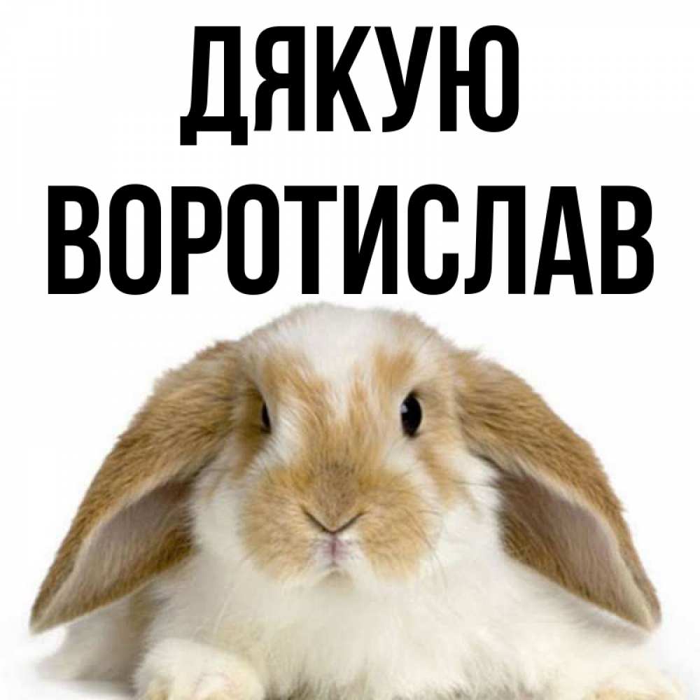 Открытка на каждый день з підписом, Воротислав Дякую коричнево белый заяц Прикольна листівка з побажанням онлайн скачати безкоштовно 