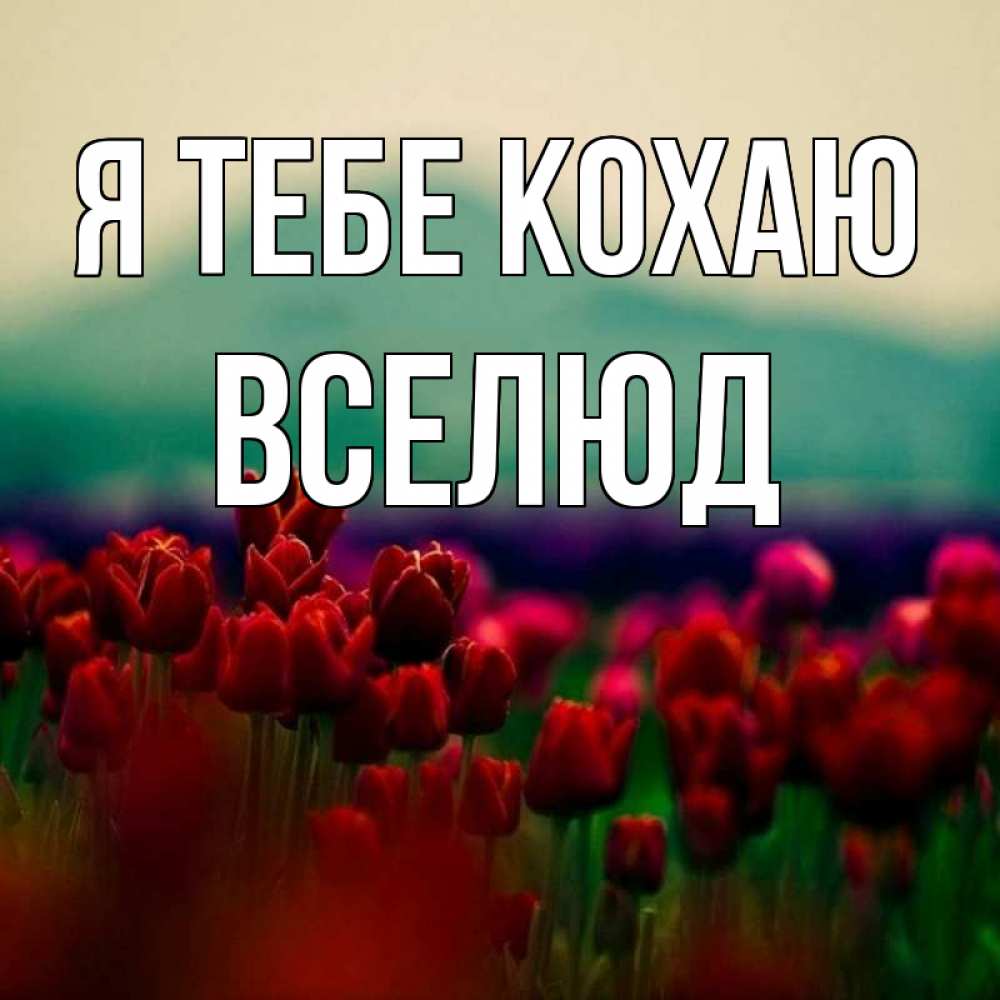Открытка на каждый день з підписом, Вселюд Я тебе кохаю тюльпаны 4 Прикольна листівка з побажанням онлайн скачати безкоштовно 