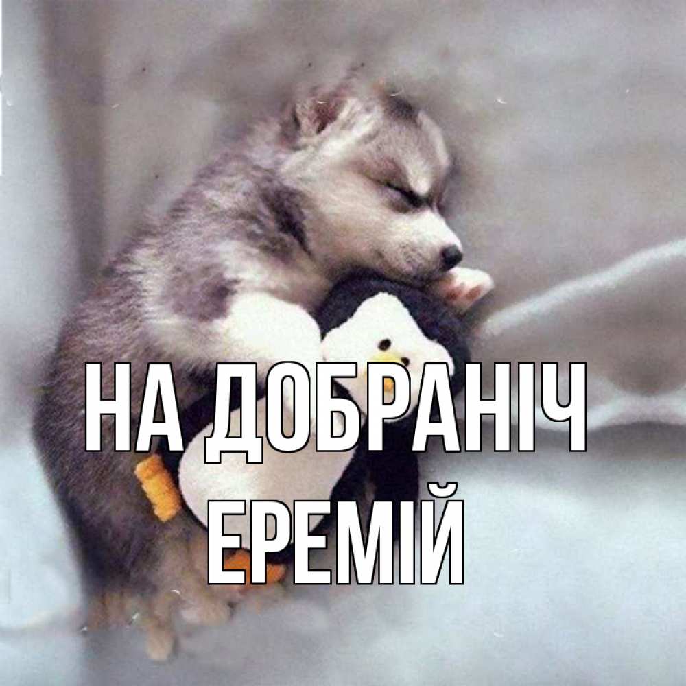 Открытка на каждый день з підписом, Еремій На добраніч обнимашки щенка и пингвина Прикольна листівка з побажанням онлайн скачати безкоштовно 
