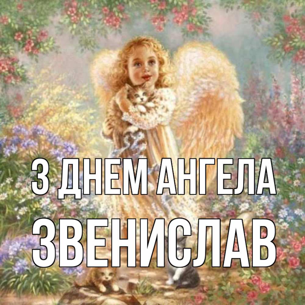 Открытка на каждый день з підписом, Звенислав З Днем ангела держит котенка Прикольна листівка з побажанням онлайн скачати безкоштовно 
