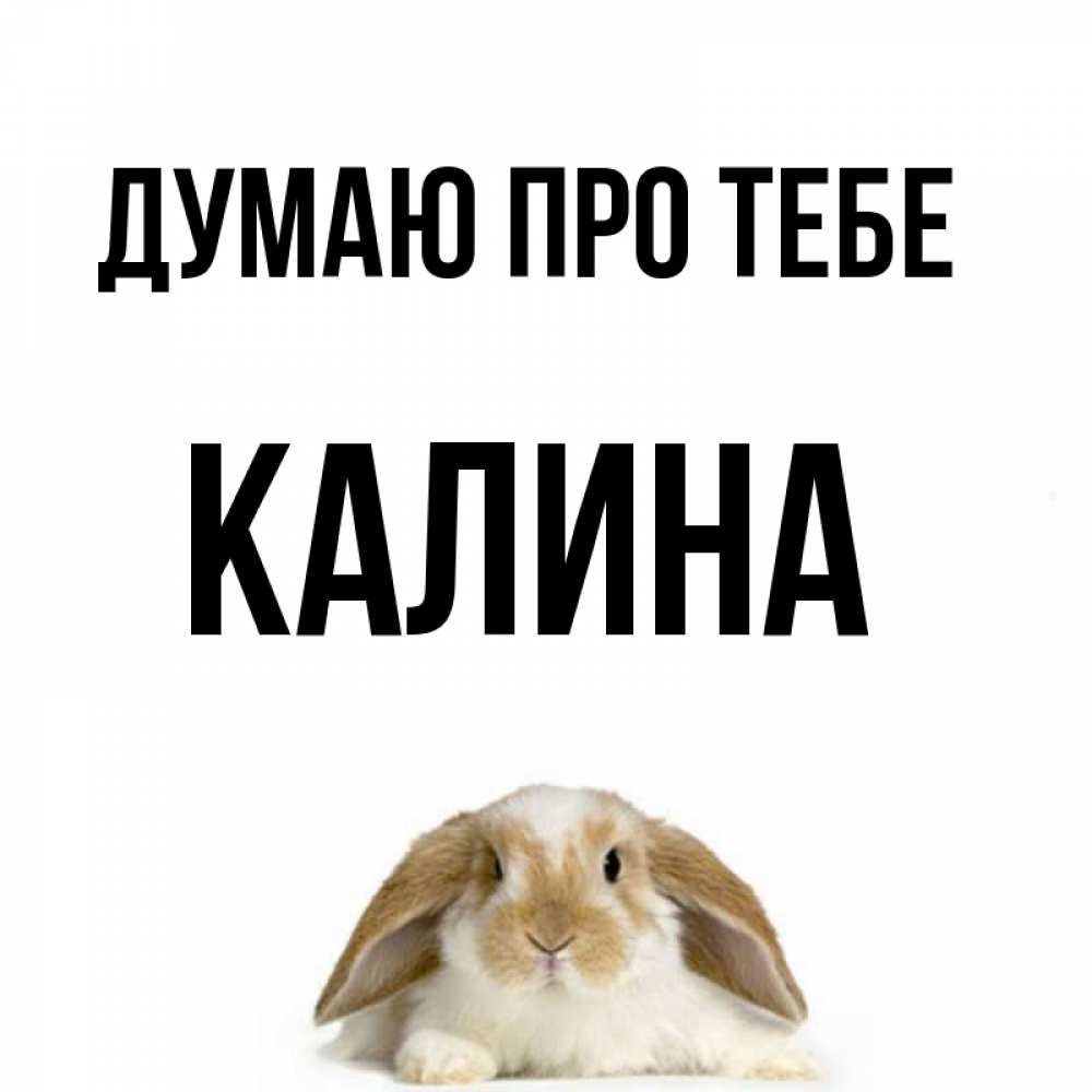 Открытка на каждый день з підписом, Калина Думаю про тебе подписать своими руками онлайн Прикольна листівка з побажанням онлайн скачати безкоштовно 
