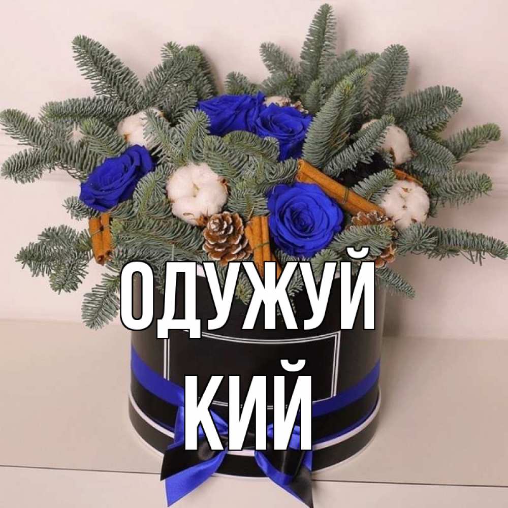 Открытка на каждый день з підписом, Кий Одужуй короче кто то загрузил эти шишки Прикольна листівка з побажанням онлайн скачати безкоштовно 