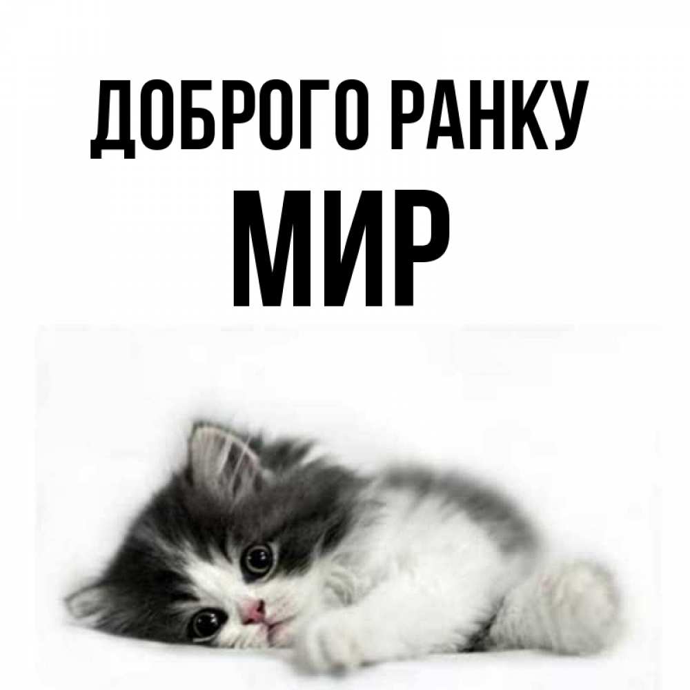Открытка на каждый день з підписом, Мир Доброго ранку кот лапки Прикольна листівка з побажанням онлайн скачати безкоштовно 