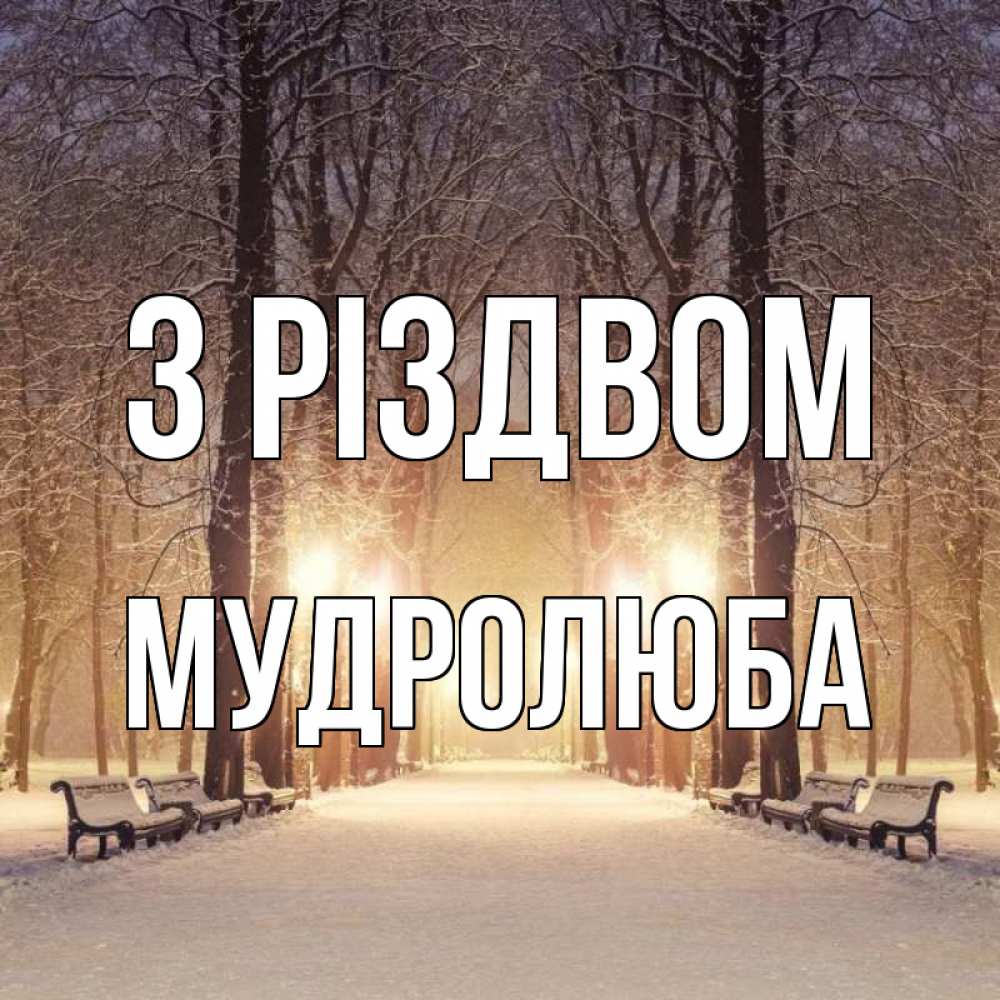 Открытка на каждый день з підписом, Мудролюба З Різдвом зима, парк, фонарь, лес Прикольна листівка з побажанням онлайн скачати безкоштовно 